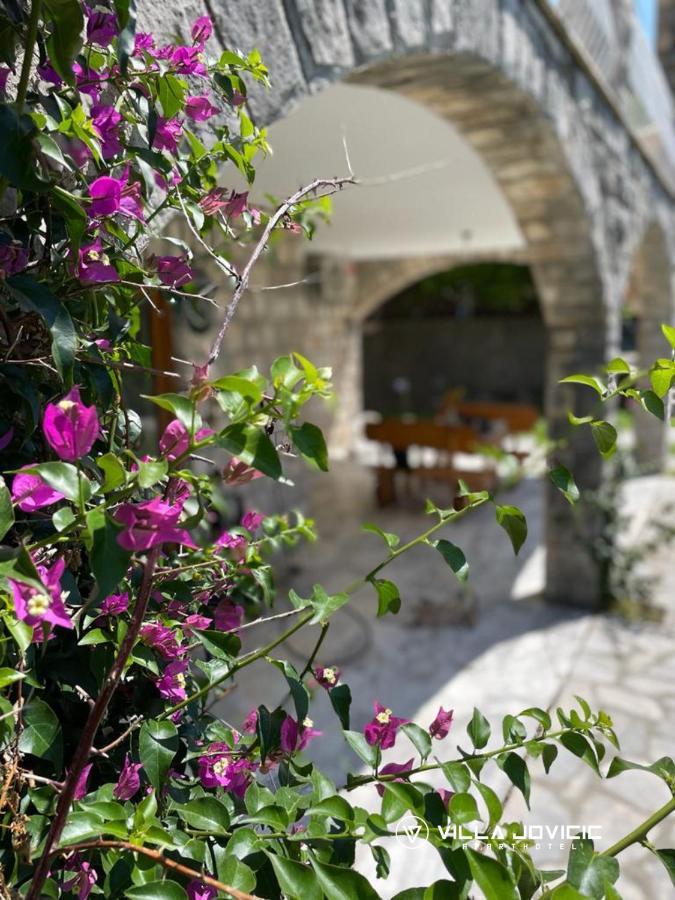 Aparthotel - Villa Jovicic Χέρτσεγκ Νόβι Εξωτερικό φωτογραφία